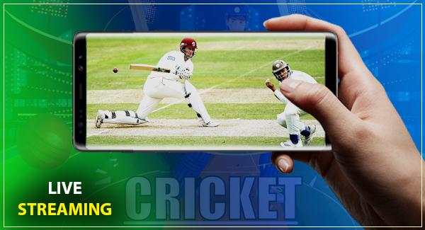 Watch Live Cricket TV Match screenshot 1