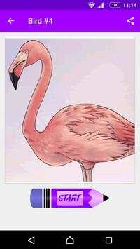 How to Draw Birds screenshot 3