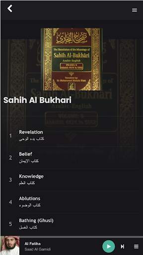 Quran Pro screenshot 5