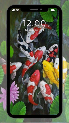 Wallpaper Ikan Koi Hidup screenshot 5