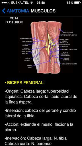 Rodilla App screenshot 3
