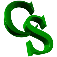 CSEntry CSPro Data Entry