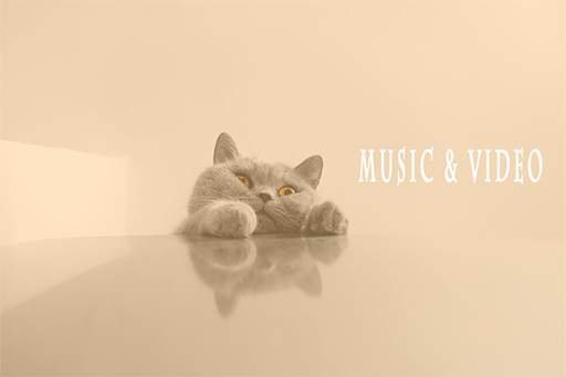 MP3 MP4 Music Download screenshot 1