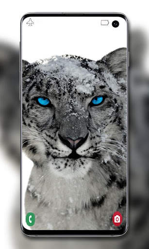 Snow Leopard Wallpaper screenshot 5