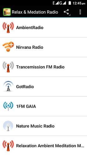 Relax & Medation Radio screenshot 2