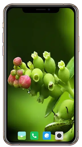 Nice Green Wallpaper screenshot 4