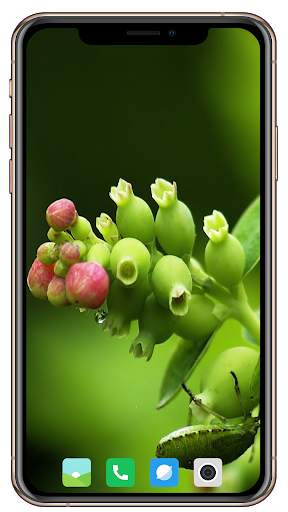 Nice Green Wallpaper screenshot 4