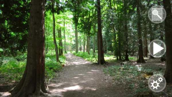 Camera Trap | Trail Camera screenshot 1