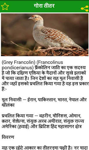 Birds Information in Hindi screenshot 8