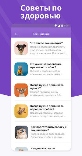 GoDog - Дрессировка собак скриншот 8