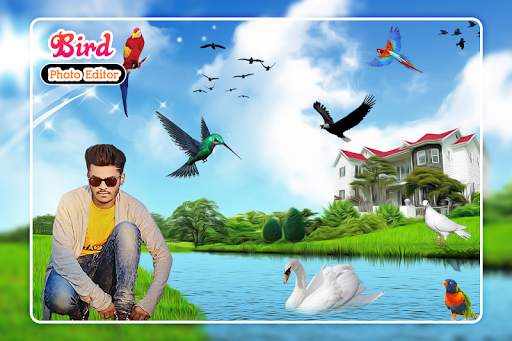 Bird Photo Editor screenshot 2