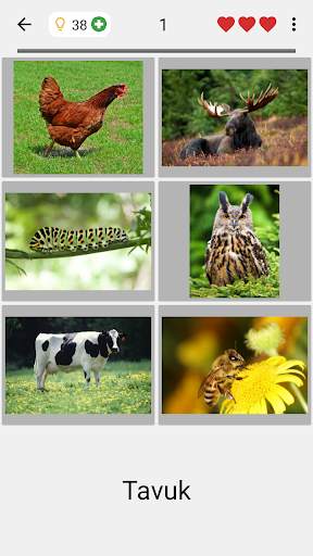 Resimleri ve kelimeleri tahmin edin Fotoğraf testi screenshot 2
