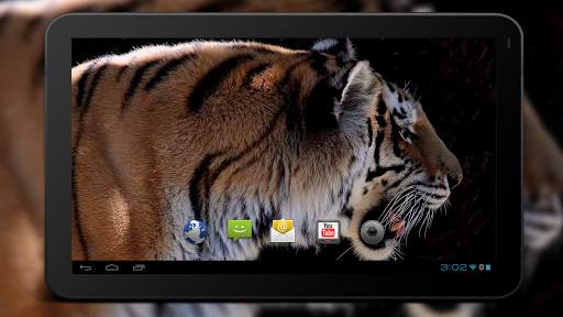 4K MightyTiger Video Live Wallpaper screenshot 6