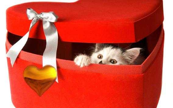 Valentine Kitty live wallpaper screenshot 3