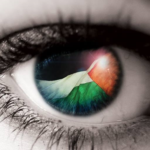 ikon Palestine Wallpapers