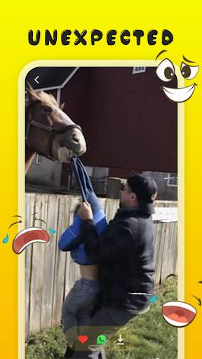 Funny Video - VidFun screenshot 2