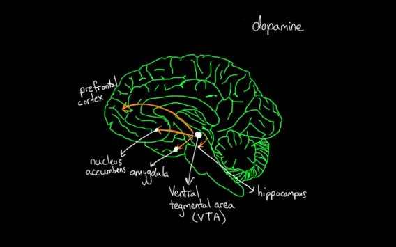 mental health psychology screenshot 9