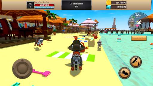 Simulator Kucing - Hewan screenshot 8