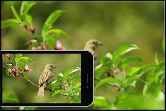 HDR Camera Plus screenshot 2