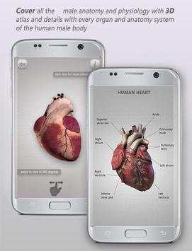 Human Anatomy 3D: Male body structure screenshot 5