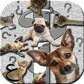 Ask Funny Animals 1.0