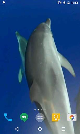 Dolphins Live Wallpaper screenshot 3