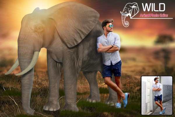 Wild Animal Photo Editor : Animal In Photo screenshot 3