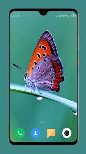 Butterfly Wallpaper 4K screenshot 5