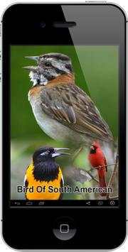 South American Birds Chirp screenshot 1