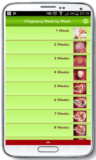 Pregnancy Week by Week 2019 screenshot 2