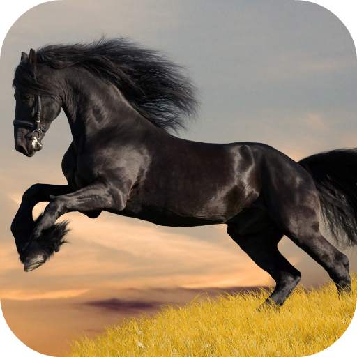 Mustang Live Wallpaper (FREE) 1.0