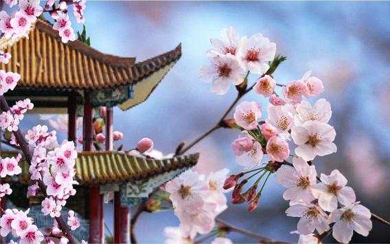 Japan Sakura live wallpaper screenshot 3