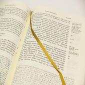 Greek Word Studies - Get a Daily Greek Word Study! 1.1