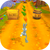 Looney Tunes Dash Adventure icon