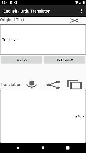 English - Urdu Translator скриншот 1