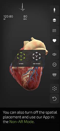INSIGHT HEART Lite screenshot 2
