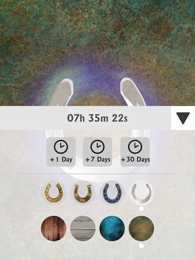 Horseshoe - Health Charm, Good Luck Charm screenshot 10