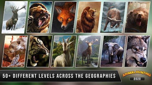 cacciatore di animali classico: caccia selvaggia screenshot 4