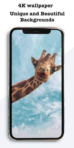 4K-HD Wallpapers - Auto Wallpaper Changer screenshot 3