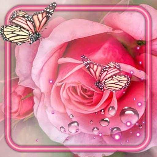 Roses Amazing Live Wallpaper 1.3