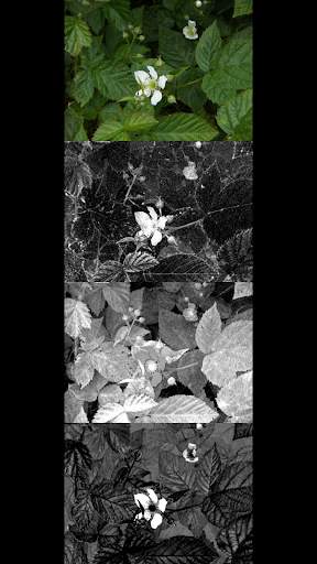 SpectraCam — See invisible. Near IR & UV camera. screenshot 6