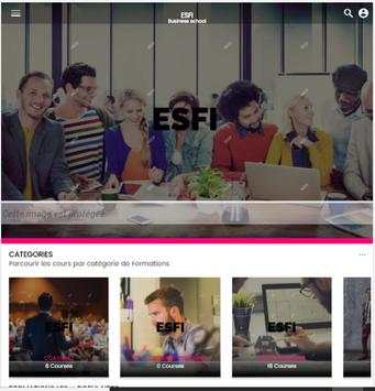 ESFI screenshot 3