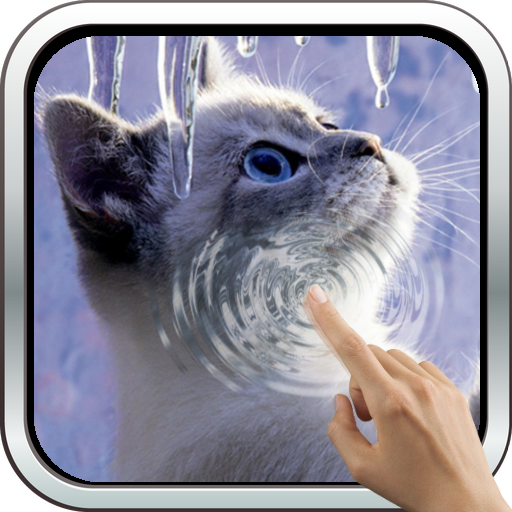 Interactive Kitten icon