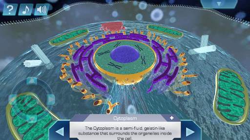 Cell World screenshot 2