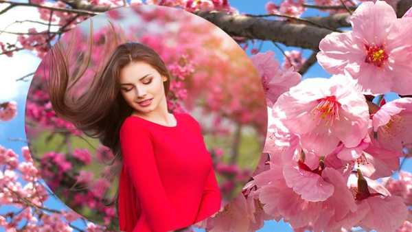 Sakura Frames For Photos screenshot 4