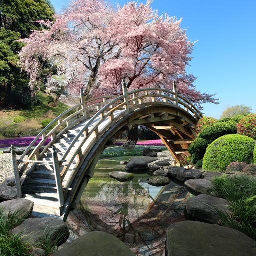 Sakura Garden Live Wallpaper icon