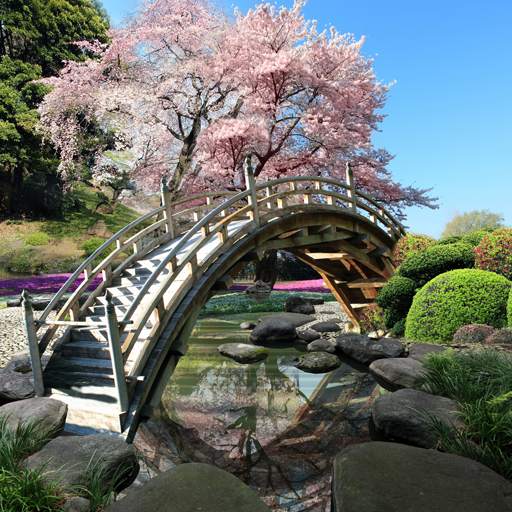 Sakura Garden Live Wallpaper 1.0.8