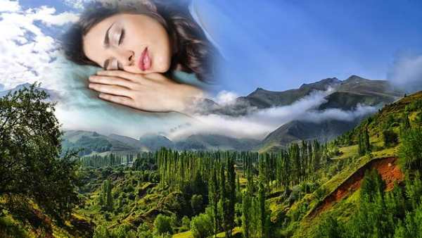 New Photo Frame Nature Photo Frame Application screenshot 2