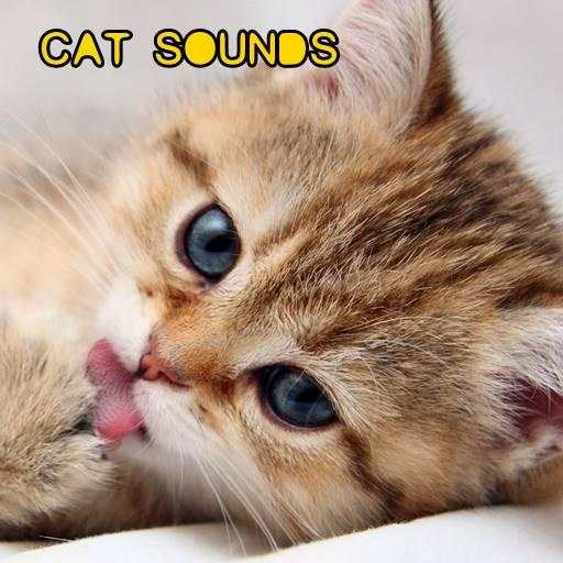 Cat Sounds 3.9