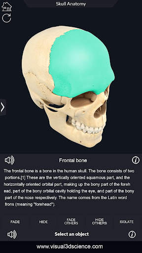 My Skull Anatomy screenshot 5
